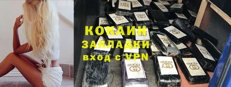 купить наркотики цена  Петровск-Забайкальский  Cocaine Fish Scale 